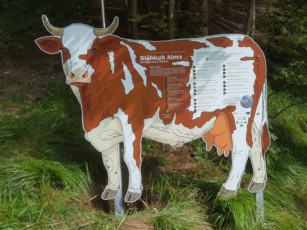 2018 Naturpark Mürzer Oberland – Blähkuh Alma © Winter Artservice