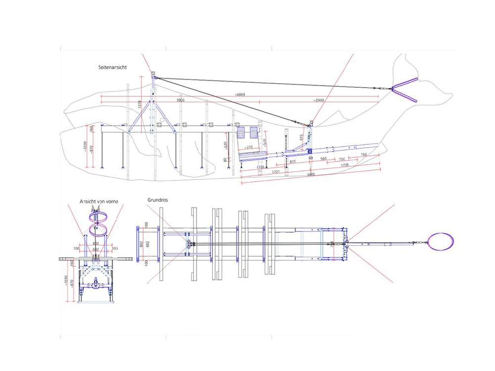 2022 – Wien Museum – Hängung Wal © Winter Artservice