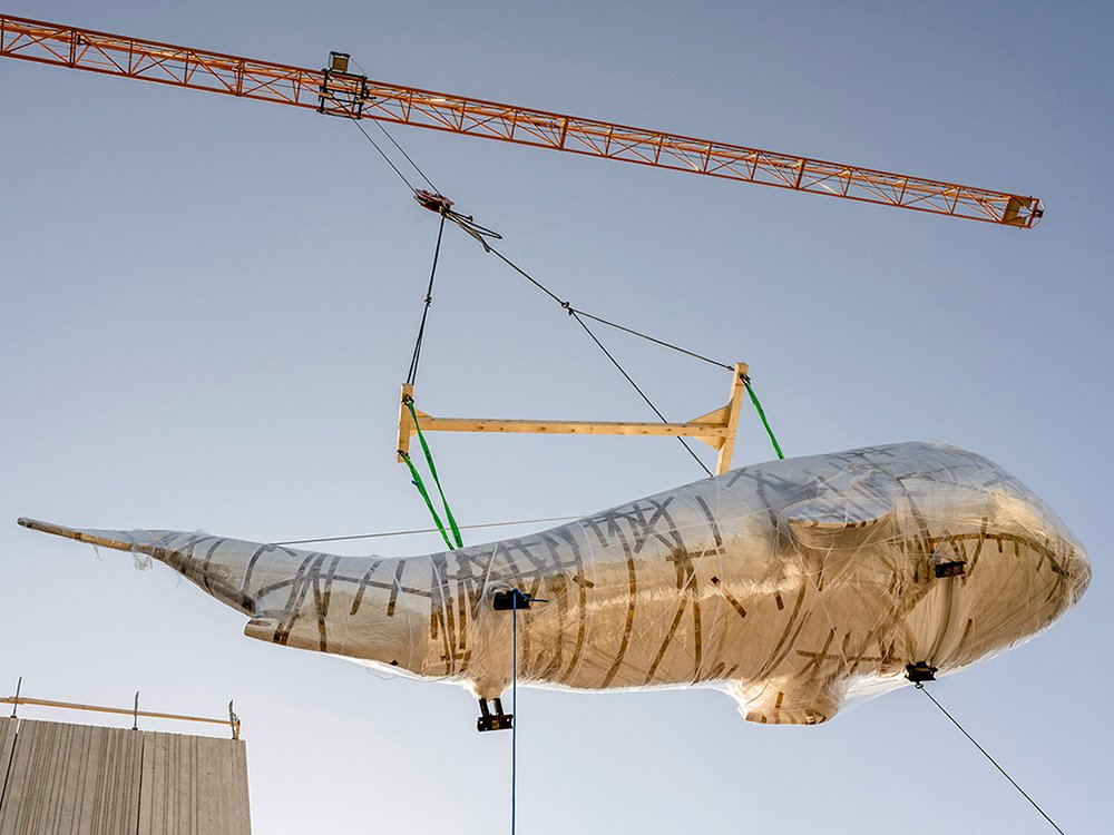 2022 – Wien Museum – Hängung Wal © Kollektiv Fischka