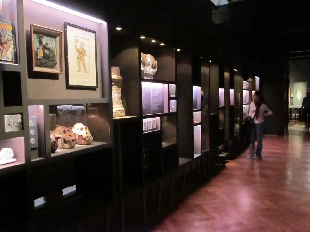 Ausstellungsraum: dunkler Saal, Vitrinen mit anitken Schädeln und histoischen Artefakten an Wand