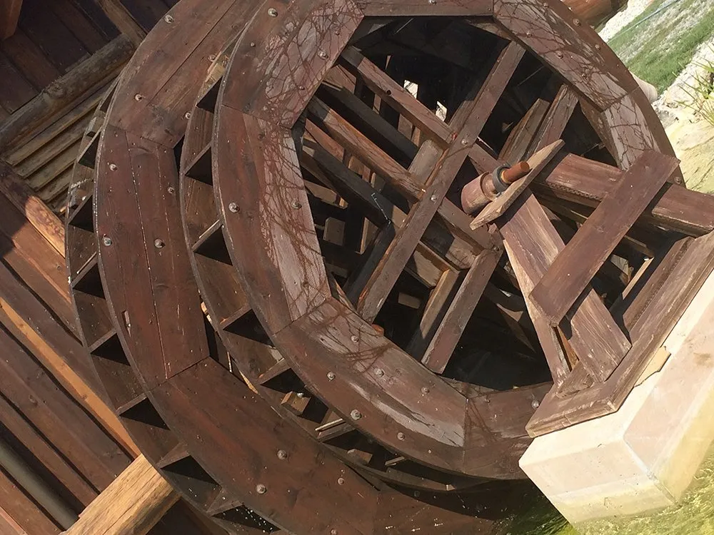 Leonardo da Vincis Flugmaschine